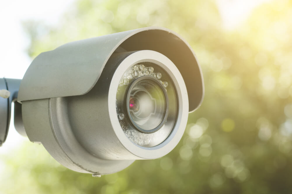 Kamery na działkę – jakie wybrać i na co zwrócić uwagę?