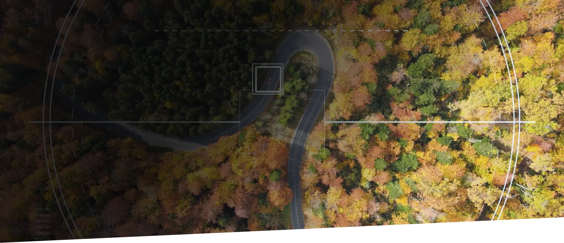 monitoring pojazdów gps